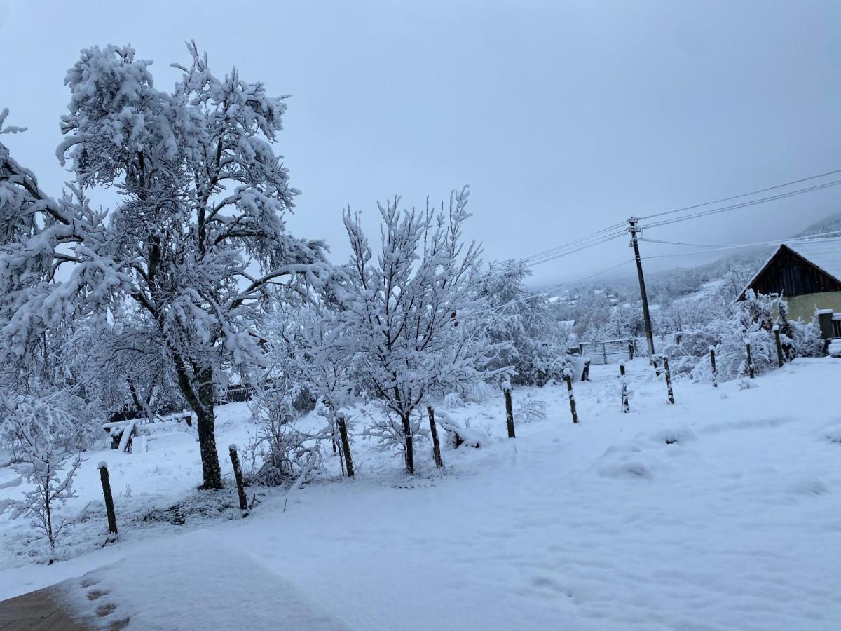 Casa Dea Villa Gladna Montana Eksteriør bilde